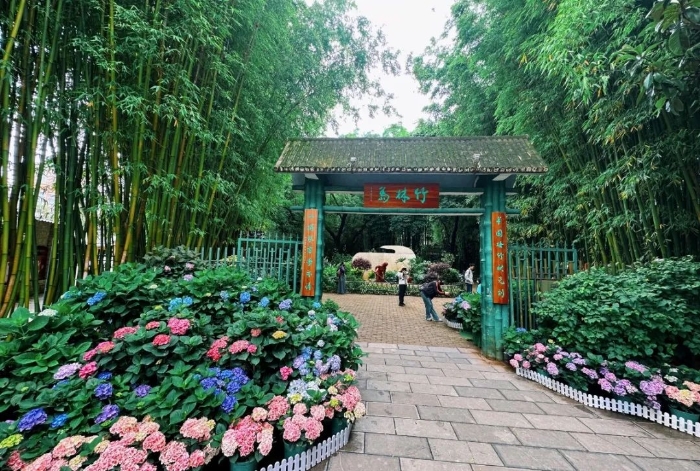 翠湖
