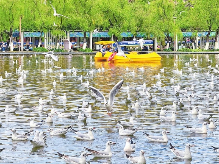 1999148_840x840 1999148_840x840