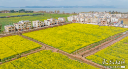 彩龙社区@维梅 彩龙社区@维梅