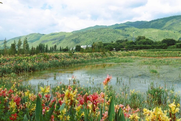 嵩明普渡小山海-公众号悦读嵩明