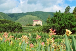嵩明普渡小山海-公众号悦读嵩明4 嵩明普渡小山海-公众号悦读嵩明4