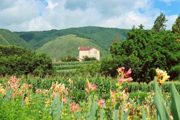 嵩明普渡小山海-公众号悦读嵩明4