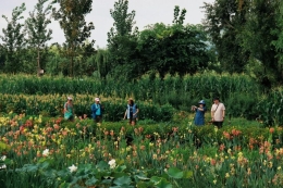 嵩明普渡小山海-公众号悦读嵩明3 嵩明普渡小山海-公众号悦读嵩明3