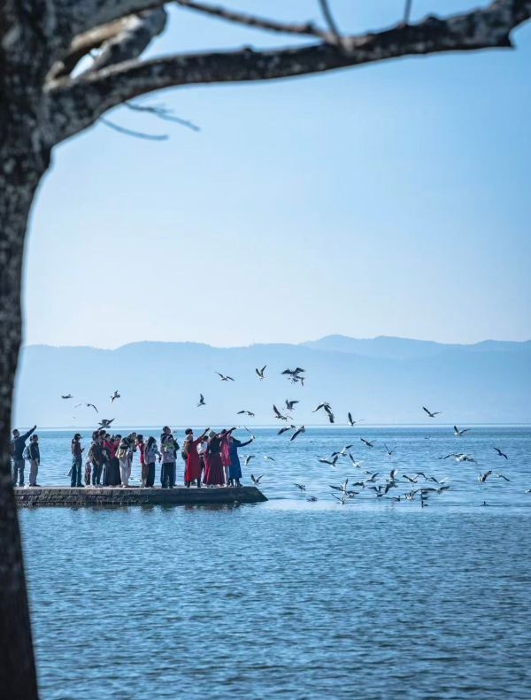 海晏村2-小红书@安东尼奥的生活记录