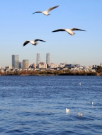 aa297e5bcd658e98c003c903d60a3afb aa297e5bcd658e98c003c903d60a3afb