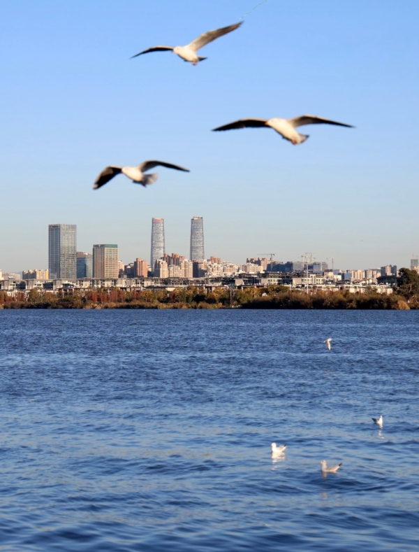 aa297e5bcd658e98c003c903d60a3afb