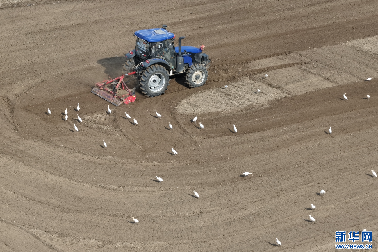 20260304024ae079af0e4cb6870957d4aaba7601_202603046357ae81acc7430bba25d9a15b134aaf