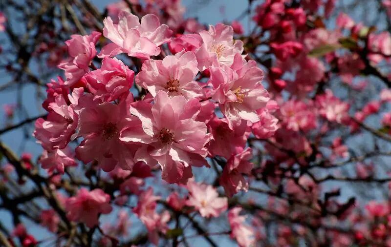 微信图片_2026-03-10_160154_584