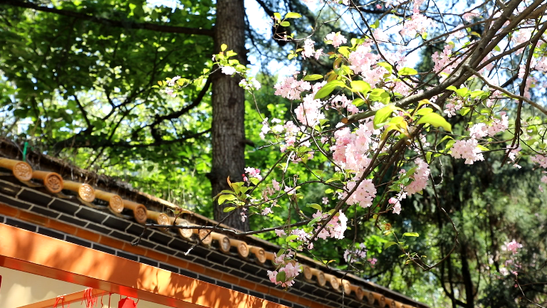 微信图片_2026-03-10_160305_639