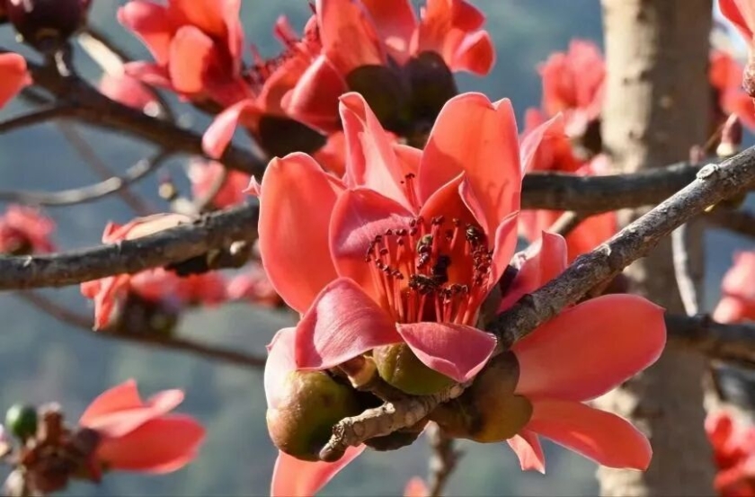 5ed3b8a8-5874-47ec-8a0d-30ce5978d6d7 5ed3b8a8-5874-47ec-8a0d-30ce5978d6d7