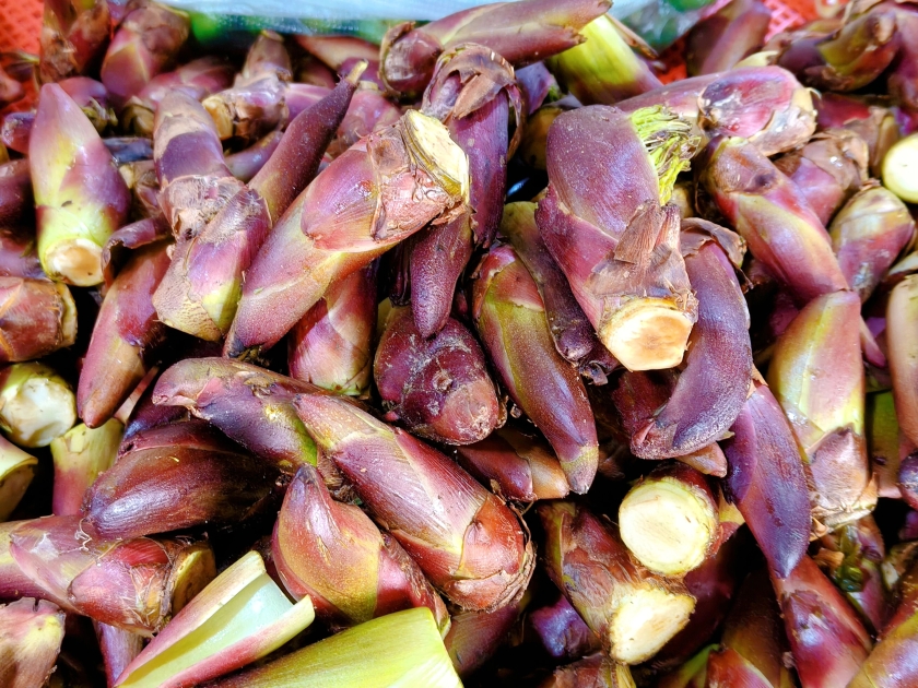 9f9d692f-e110-4196-b639-fd559f7f23c6 9f9d692f-e110-4196-b639-fd559f7f23c6