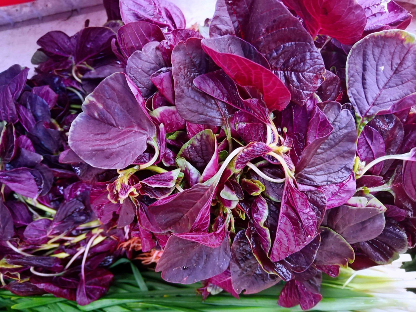 248ca359-9971-4a19-9dd4-f30d85c6b7d7 248ca359-9971-4a19-9dd4-f30d85c6b7d7