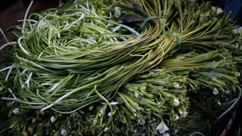 359f1aea-4c5f-49aa-a83f-73e31022cbc6 359f1aea-4c5f-49aa-a83f-73e31022cbc6