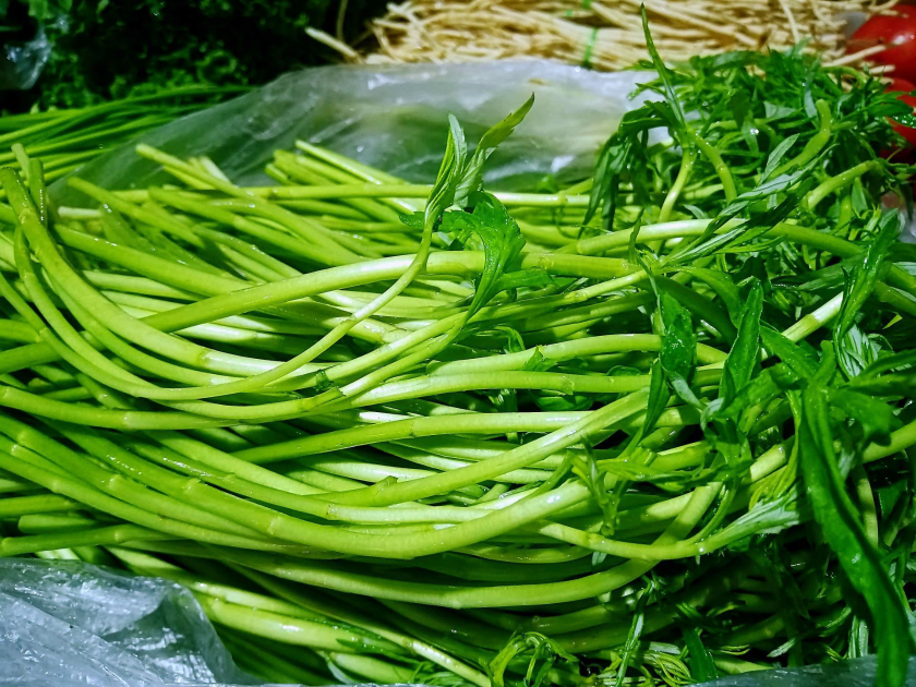 e264c317-e030-433b-aadf-57803683e6c6 e264c317-e030-433b-aadf-57803683e6c6