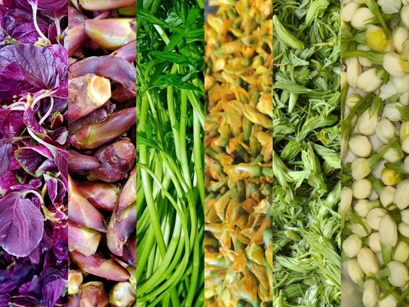 df4af695-64bf-489a-9e6d-82f305f7046b df4af695-64bf-489a-9e6d-82f305f7046b