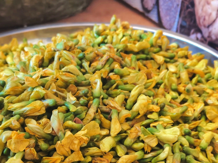 1d245acc-372c-4709-81e6-b5a6afb87e8a 1d245acc-372c-4709-81e6-b5a6afb87e8a