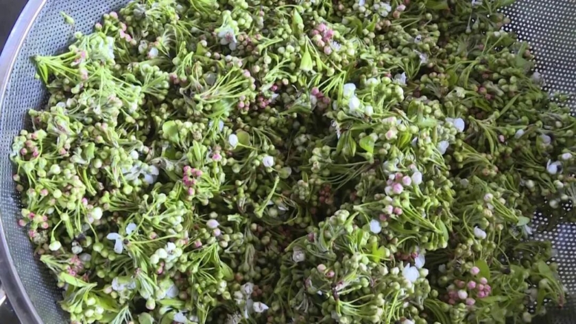 cd39e085-c4dc-41c1-b1d4-ae8a602ebacb cd39e085-c4dc-41c1-b1d4-ae8a602ebacb