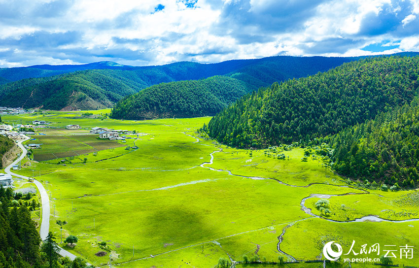 夏日普达措,风景美如画。徐俊摄