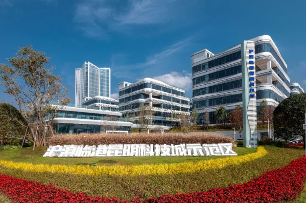 图片5
